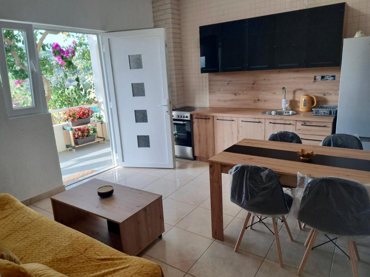 Apartment Vujcic Donji Okrug  Exteriör bild